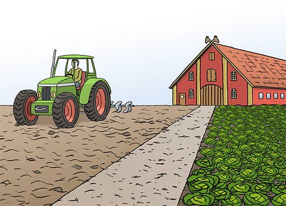 Landwirtschaft (leichte Sprache) © Illustrator Stefan Albers, Atelier Fleetinsel Traktor bestellt das Feld, im Hintergrund ist eine Scheune zu sehen