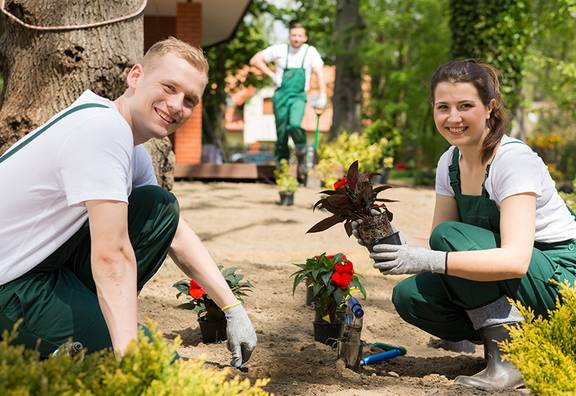 Azubis bepflanzen den Garten