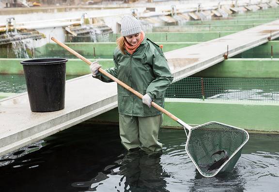 Mädchen fängt Fische