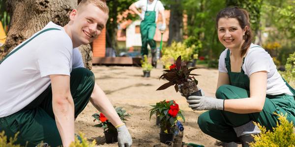 adobestock 193390915 g rtner